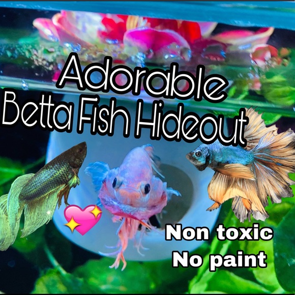 Betta Fish hideout - Picture 3 of 10